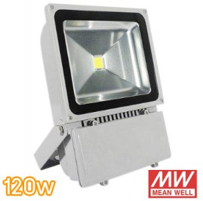 Floodlight INDUS 120w. With Meanwell Driver